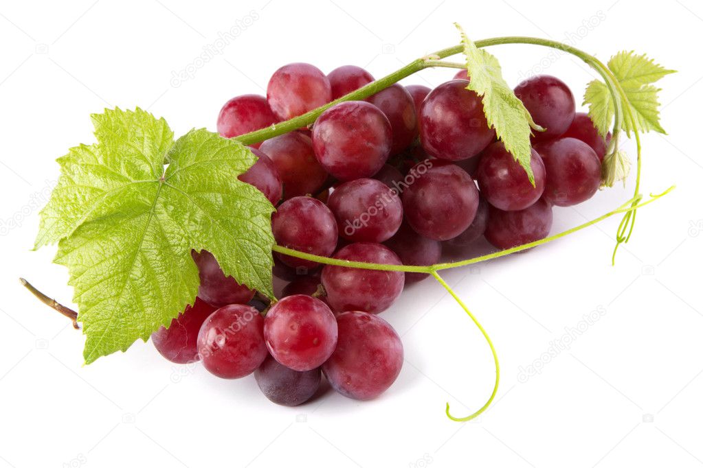 Red grapes with fresh leaves
