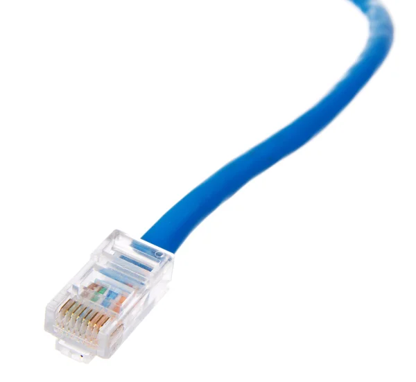 Câble LAN isolé sur fond blanc — Photo