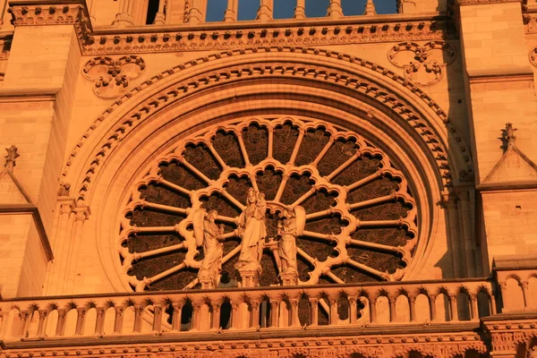 Notre Dame de Paris arkkitehtoniset yksityiskohdat — kuvapankkivalokuva