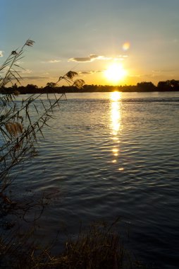 gün batımında Zambezi Nehri