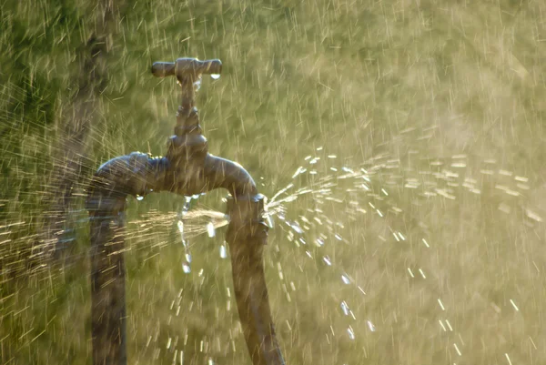 Ржавая вода из крана — стоковое фото