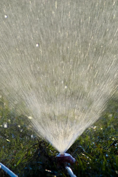 Vatten besprutning på gräs — Stockfoto