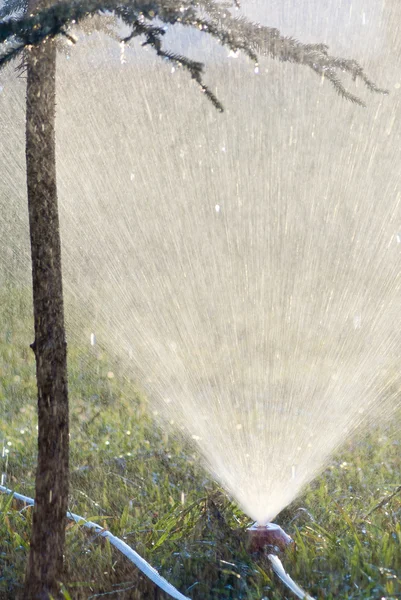 Вода распыляется на траву — стоковое фото