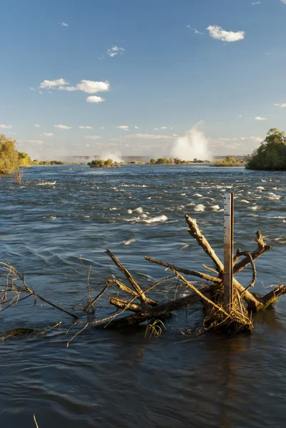 Zambezi river — Stock Photo, Image