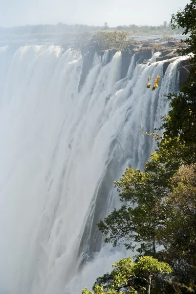 维多利亚瀑布在阳光明媚的一天 — 图库照片