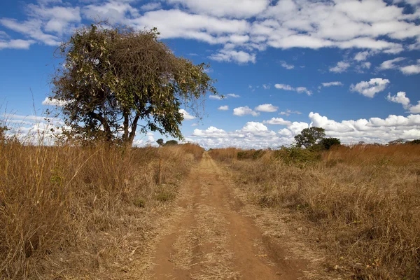 Замбийская грунтовая дорога — стоковое фото