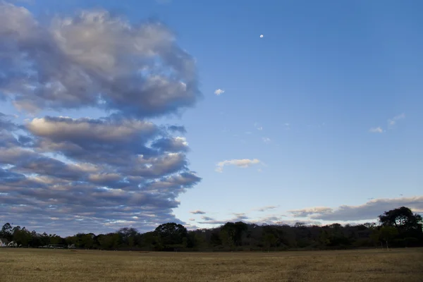 Krajobraz Zambii — Zdjęcie stockowe