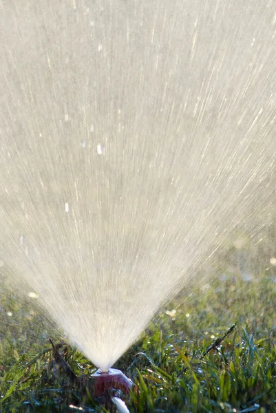 Vatten besprutning på gräs Royaltyfria Stockfoton