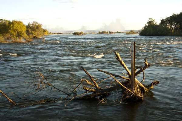 Río Zambezi Fotos De Stock