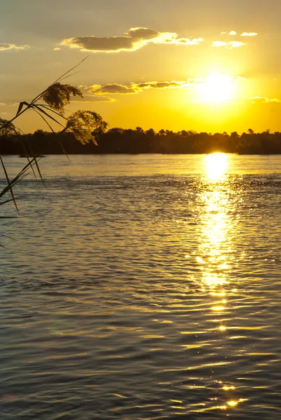 Zambezi rivier bij zonsondergang Rechtenvrije Stockfoto's