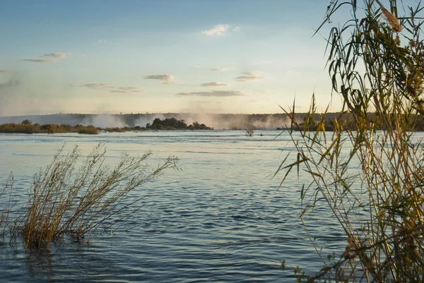 Zambezifloden i solnedgången Royaltyfria Stockbilder