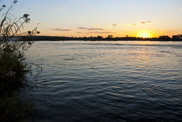 Zambezi rivier bij zonsondergang Stockfoto