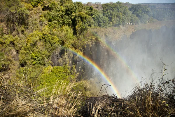 Victoria falls met dubbele regenboog Stockafbeelding