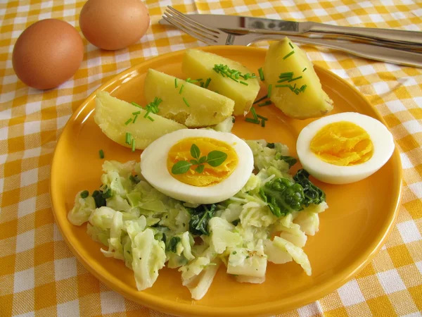 Grädde savoy med potatis och ägg — Stockfoto