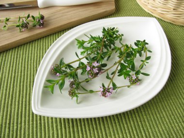 Fresh winter savory clipart