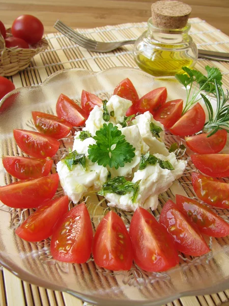 Sheep's milk cheese with tomatoes — Stock Photo, Image