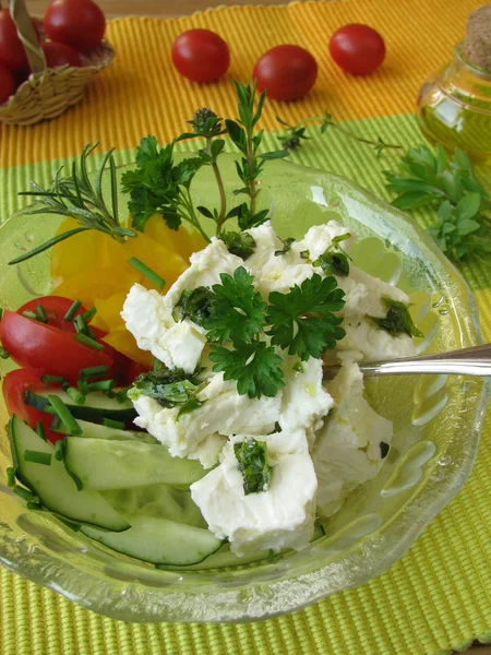 Juhtejből készült sajt salátával — Stock Fotó