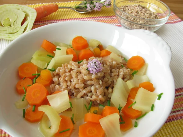スペルト小麦と野菜のスープ — ストック写真