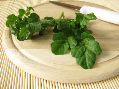 Fresh watercress on cutting board clipart