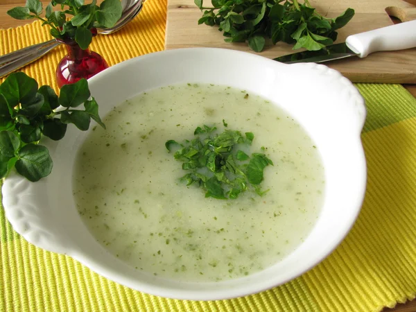 Crème soep met waterkers — Stockfoto