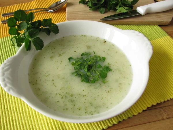 Cream soup with watercress — Stock Photo, Image