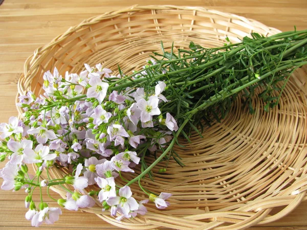 Bando de flores de cuco na cesta — Fotografia de Stock