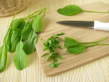 Garden sorrel on cutting board clipart