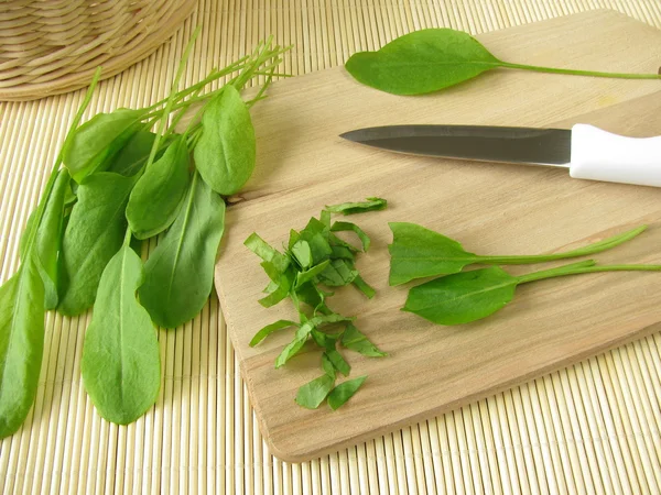 Garden sorrel on cutting board — Stock Photo, Image