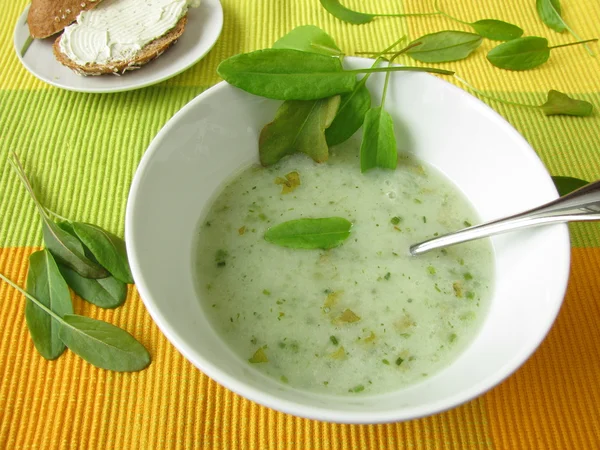 Sorrel soup — Stock Photo, Image