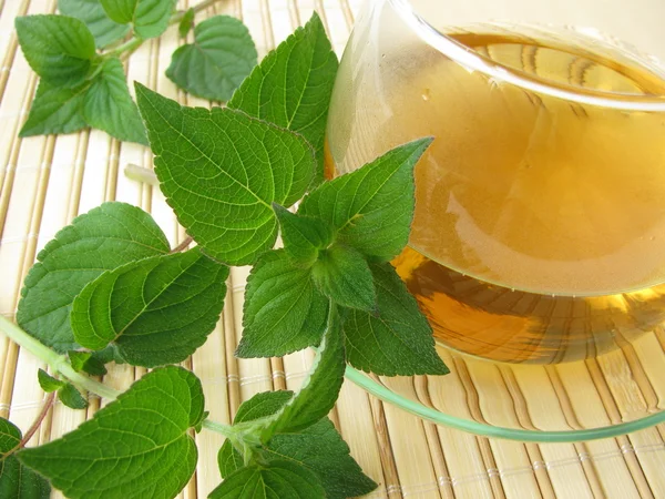 Tea with honey melon sage — Stock Photo, Image