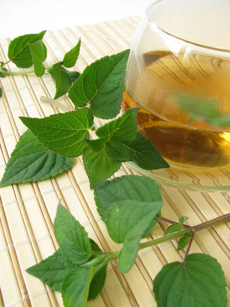 Tee mit Honigmelone Salbei — Stockfoto