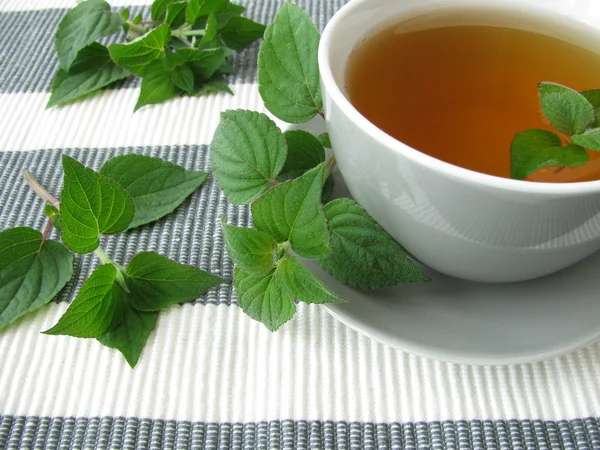 Tea with honey melon sage — Stock Photo, Image