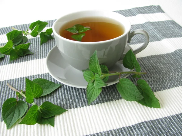 Τσάι με φασκόμηλο — Φωτογραφία Αρχείου