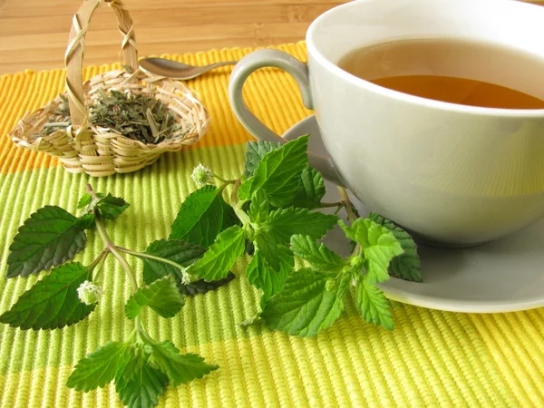 Tea with aztec sweet herb — Stock Photo, Image