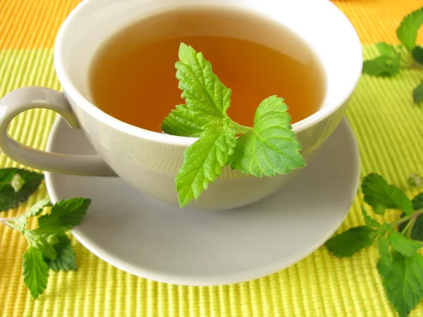 Herbata z aztec słodkie zioło — Zdjęcie stockowe