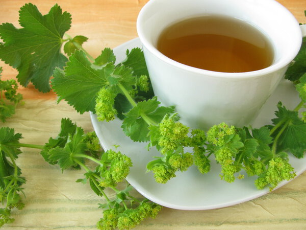 Лэдис Мантл
