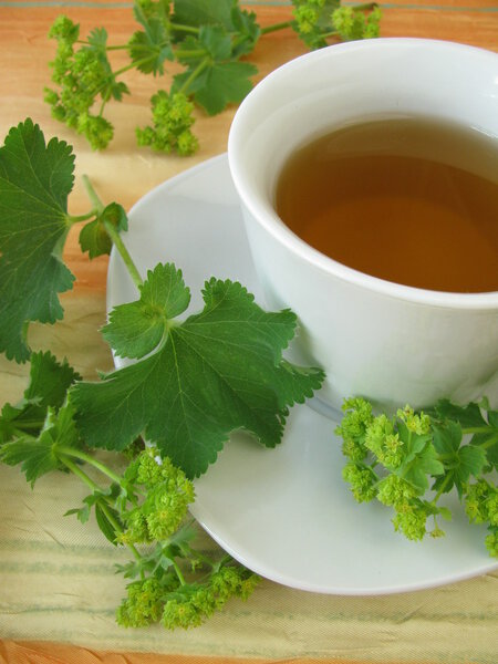 Лэдис Мантл
