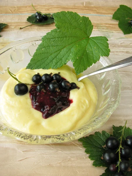 stock image Custard with blackcurrant sauce