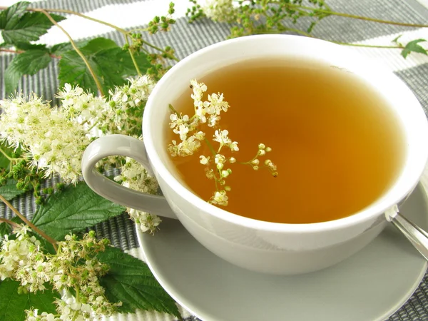 Tea with meadowsweet — Stock Photo, Image