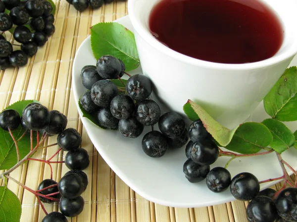 Siyah chokeberry çay — Stok fotoğraf