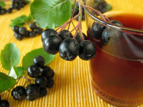 Siyah chokeberry suyu — Stok fotoğraf