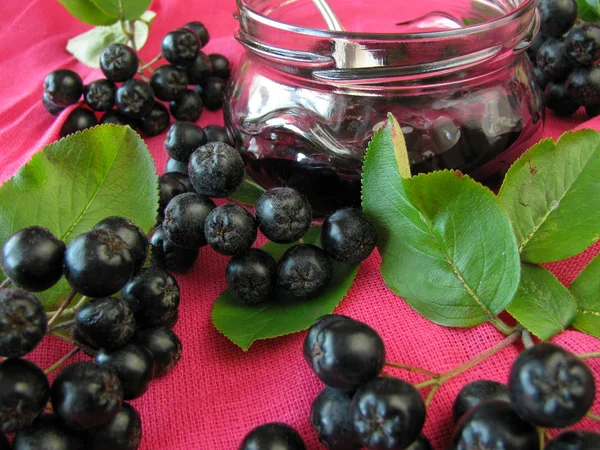 Zwarte chokeberry jam — Stockfoto