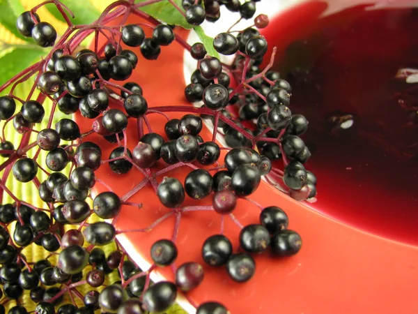 Elderberries 과일 수프 — 스톡 사진