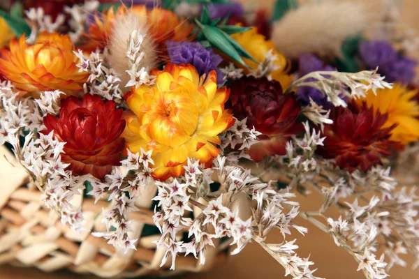 stock image Dried Flowers