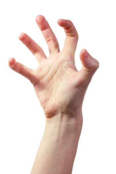 stock image Scary Hand