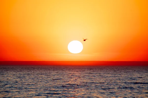 stock image Sea Sunset