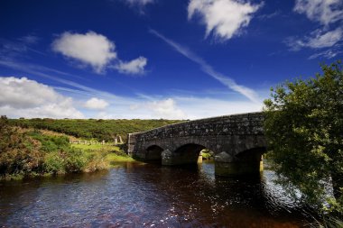 Dartmoor Bridge. clipart