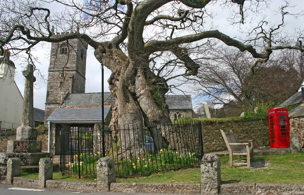 Meavy εκκλησία, dartmoor, devon, Ηνωμένο Βασίλειο. — Φωτογραφία Αρχείου
