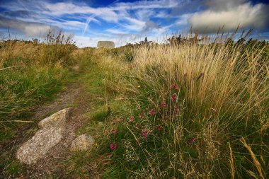 Mulfra Quoit