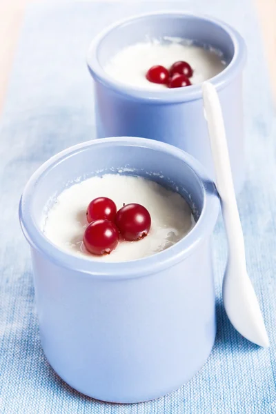 Homemade Greek yogurt — Stockfoto